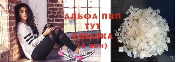 стаф Аркадак