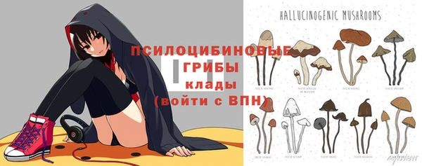 трава Арсеньев
