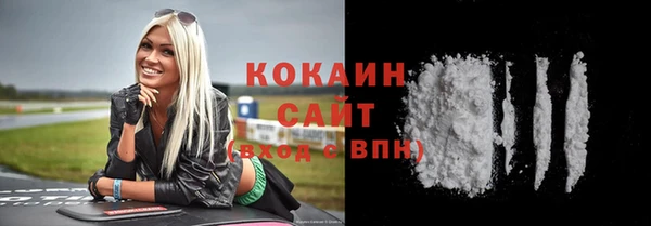 стаф Аркадак