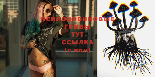 сатива Осинники